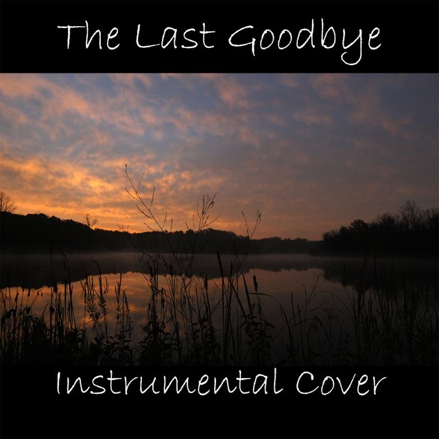 The Last Goodbye (Instrumental Cover)