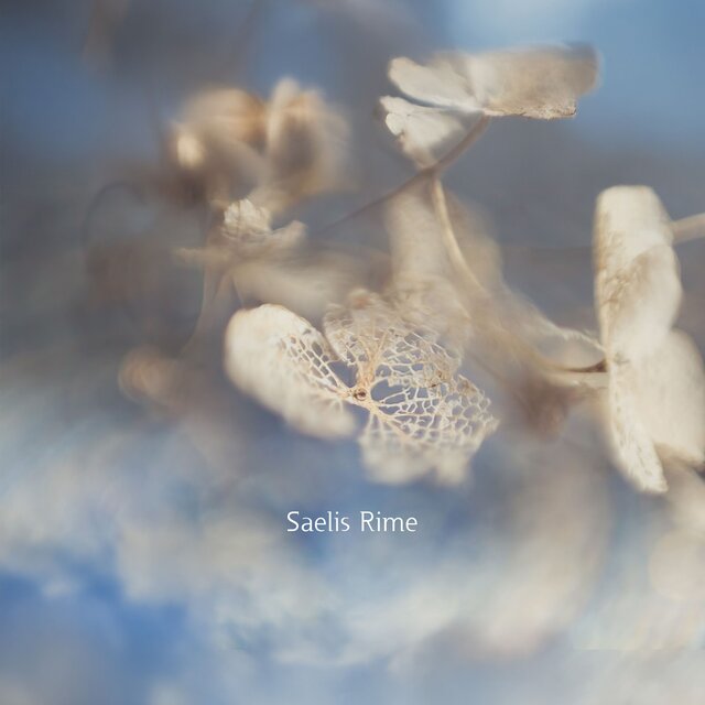 The Breathing Archive