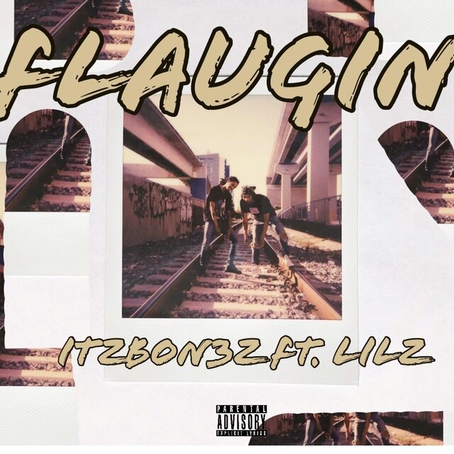 Flaugin (feat. Lilz)
