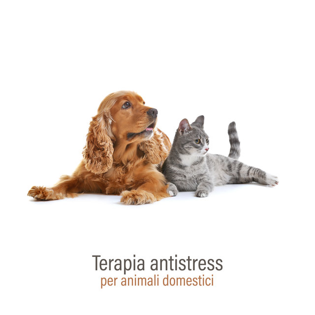 Terapia antistress per animali domestici (Suoni della natura per rilassarsi e calmarsi)