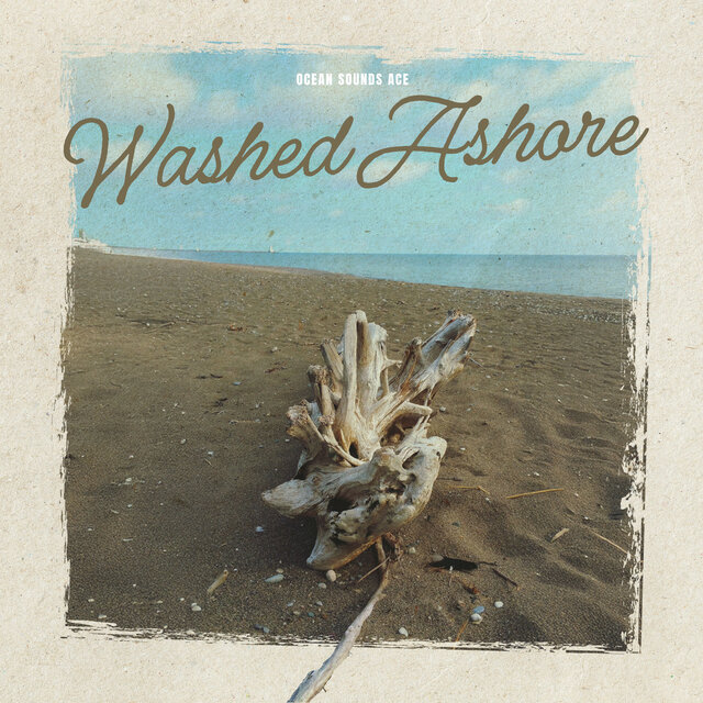 Washed Ashore
