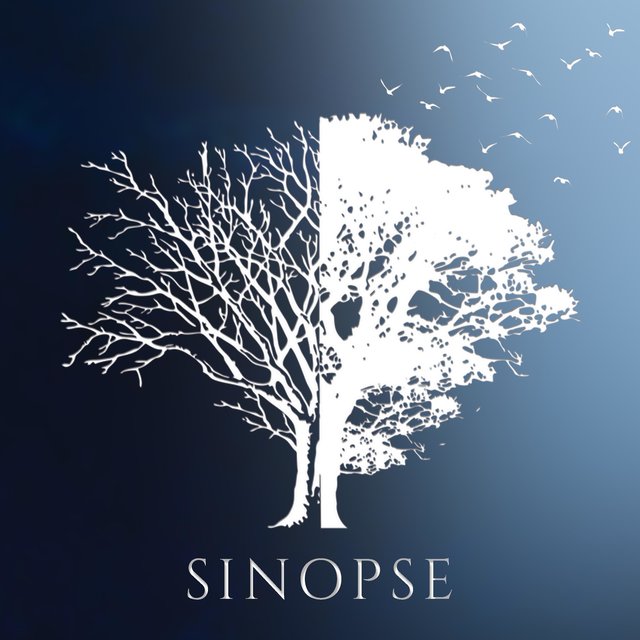 Sinopse
