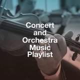Flute Concerto in a Minor, Rv 445: II. Larghetto