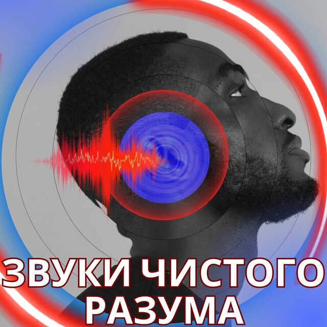 Звуки чистого разума