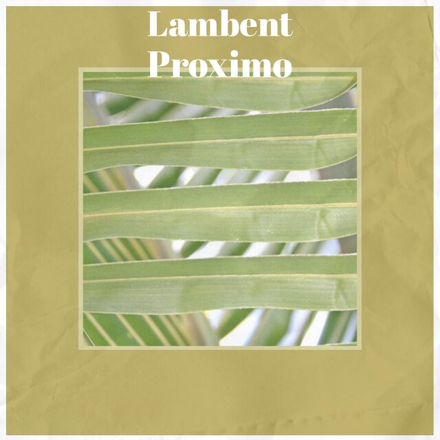 Lambent Proximo