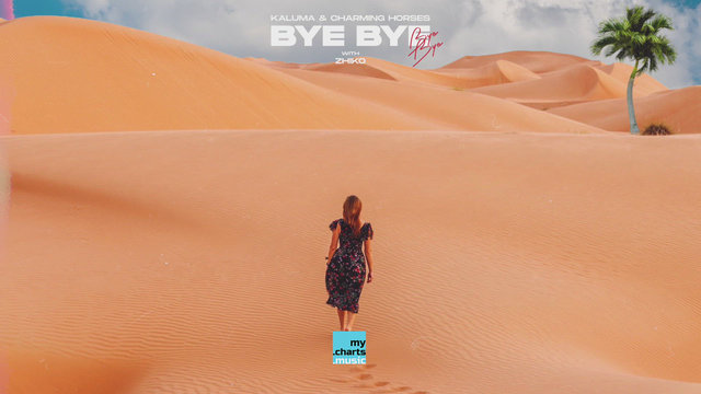 Bye Bye
