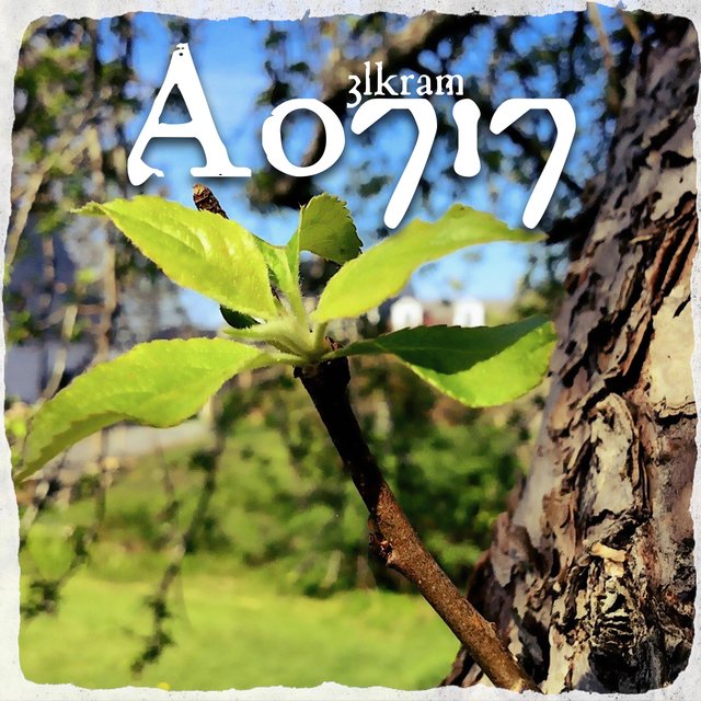 A0717