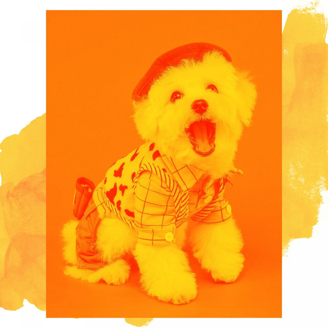 Bgm for Anxious Puppies