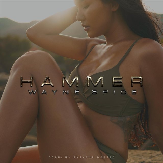Hammer