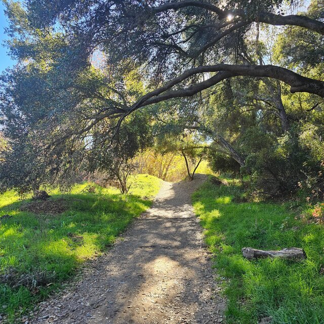 Path #2