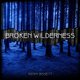 Cover art for album Broken Wilderness by Kenny Bissett