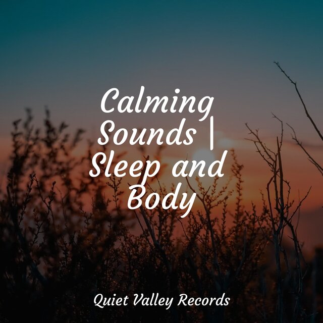 Calming Sounds | Sleep and Body