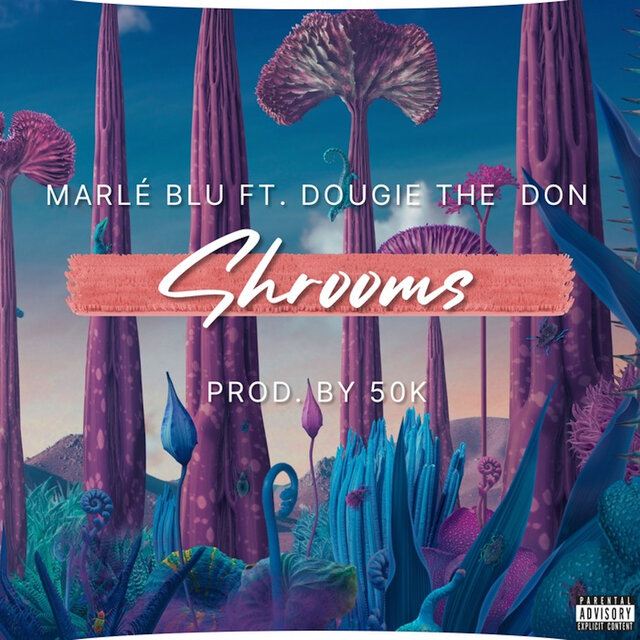 Shrooms