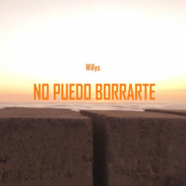 No Puedo Borrarte
