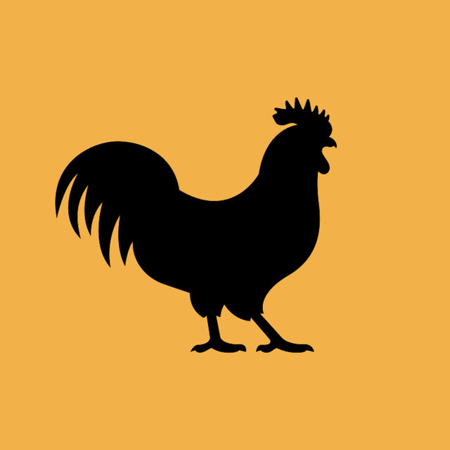 O Galo
