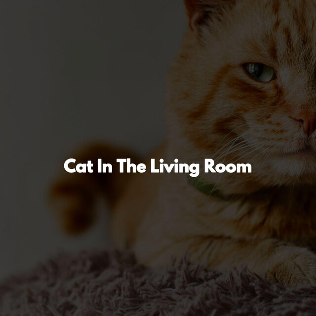 Cat In The Living Room