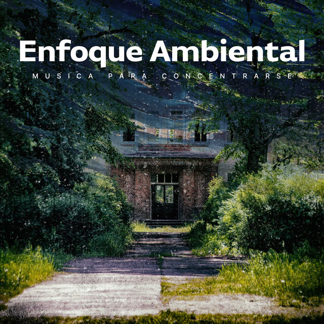 Enfoque Ambiental