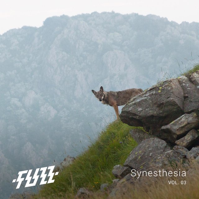 Synesthesia Vol.03