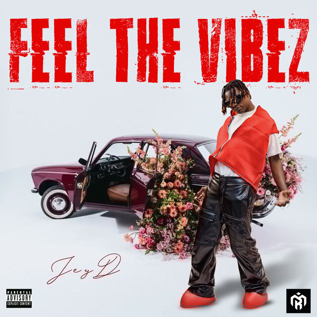 Feel The Vibez