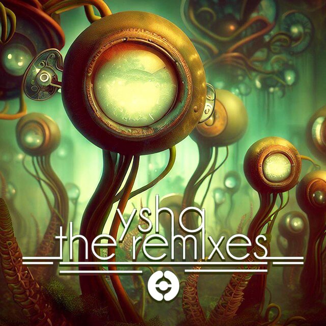 The Remixes
