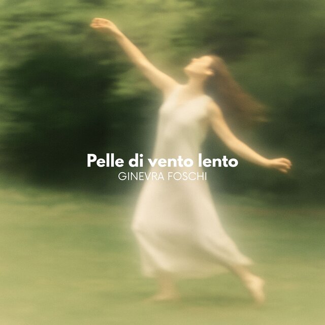 Pelle di vento lento
