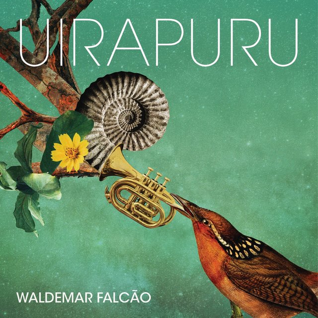 Uirapuru