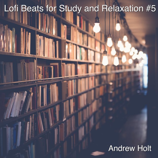 Lofi Beats for Study and Relaxation #5