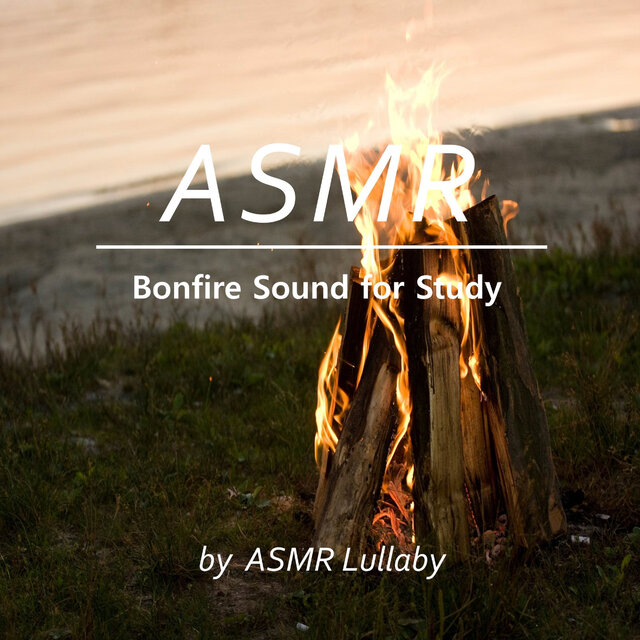 Bonfire Sounds Required During Exam Period 1 Hour - ASMR Lullaby 24