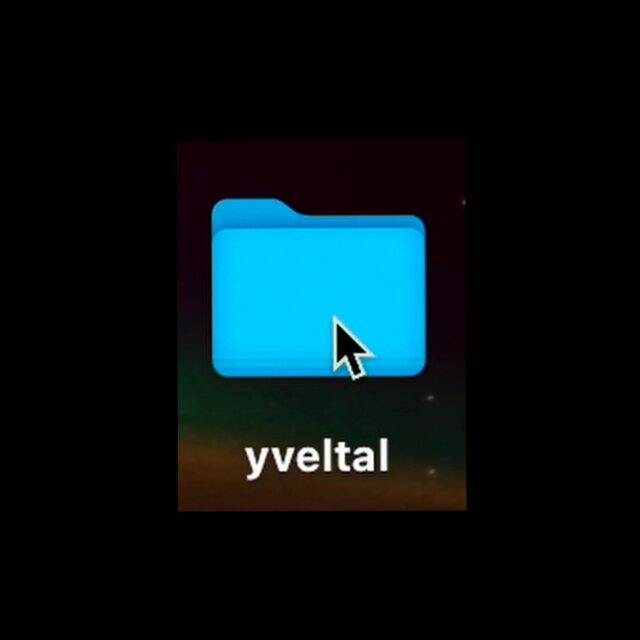 yveltal