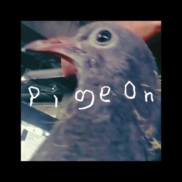 Pigeon (feat. Amy Zhou)