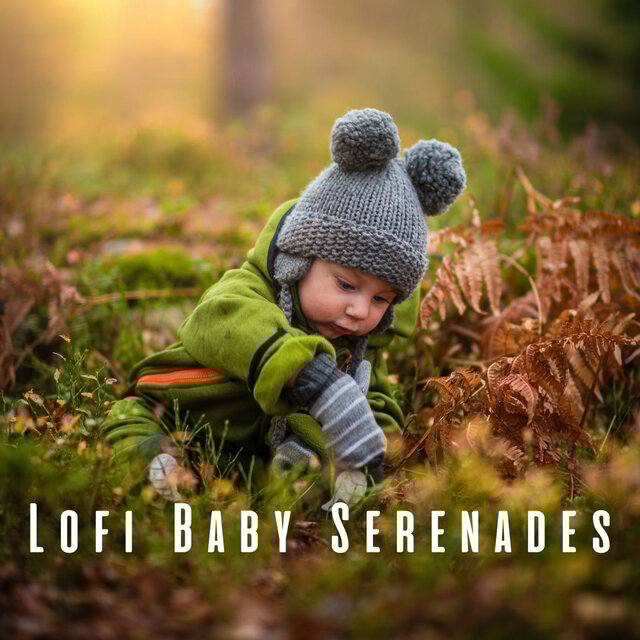 Lofi Baby Serenades: A Soothing Soundtrack for Infants