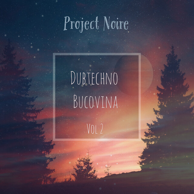DubTechno Bucovina, Vol. 2