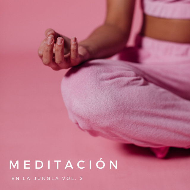 Meditación En La Jungla Vol. 2