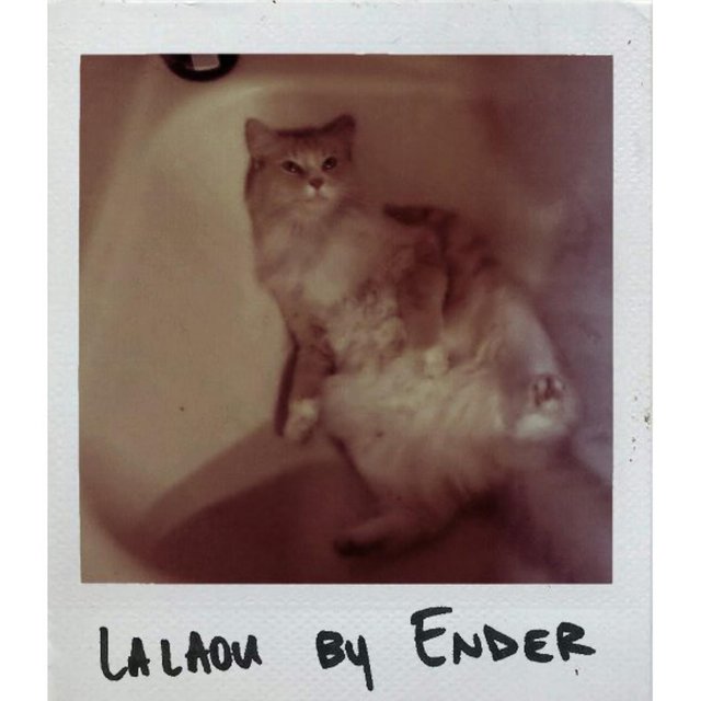 Lalaou