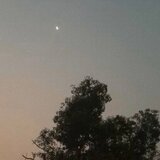 Lost in Goa