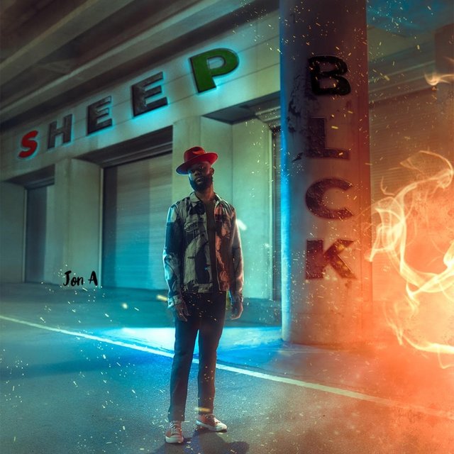 Blck Sheep
