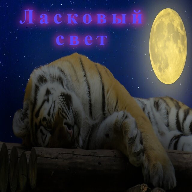 Ласковый свет