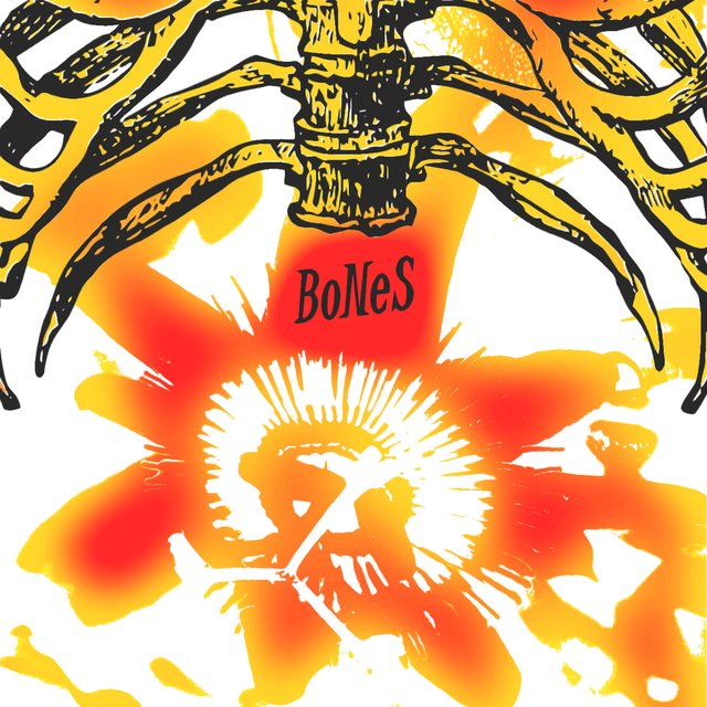 Bones