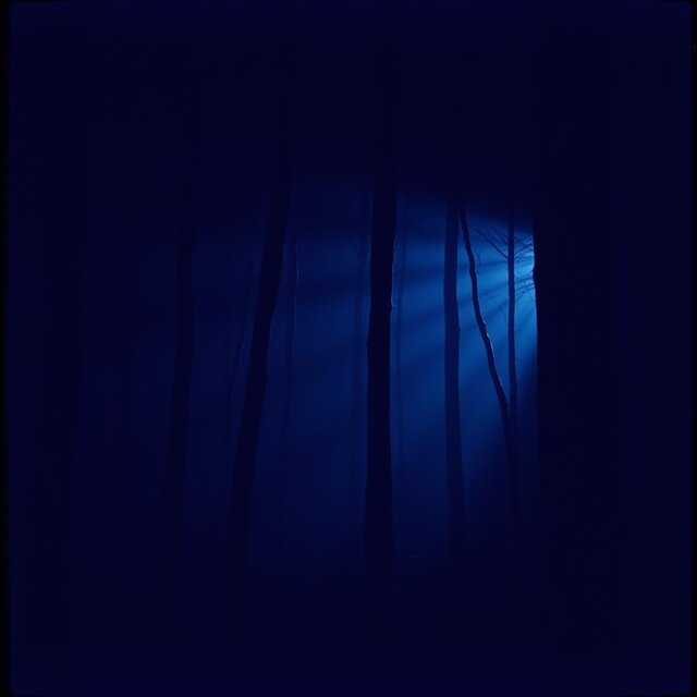 A Howling Silence