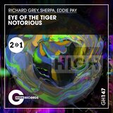 Eye of the Tiger (Original Mix)