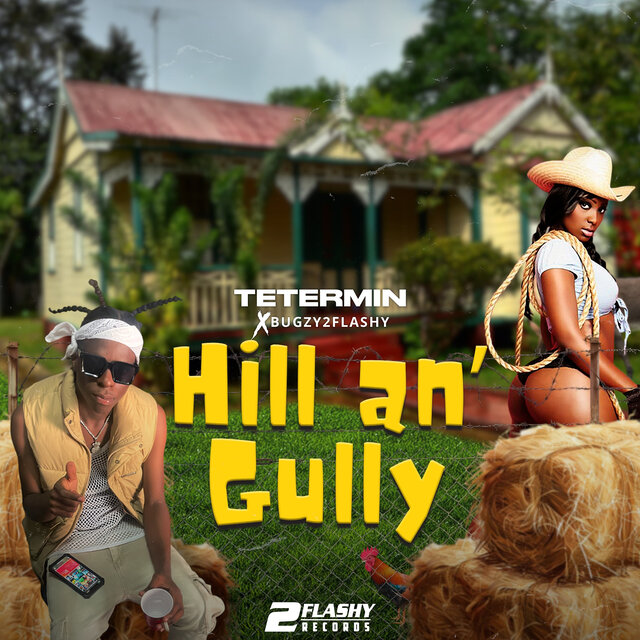 Hill an' gully