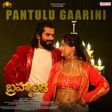 Pantulu Gaarini