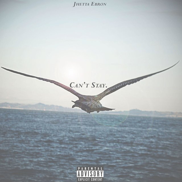 Can't Stay
