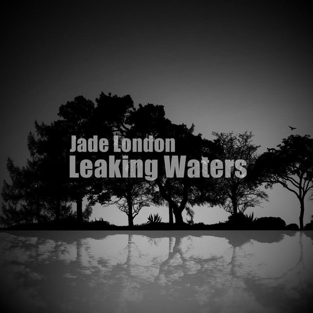 Leaking Waters