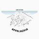 Cover art for album Appalachia by Loney Hutchins