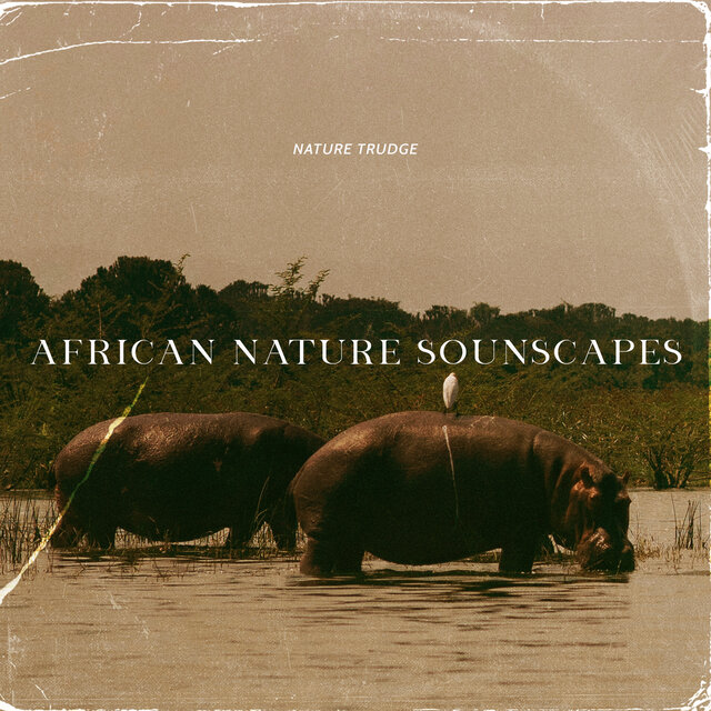 African Nature Soundscapes