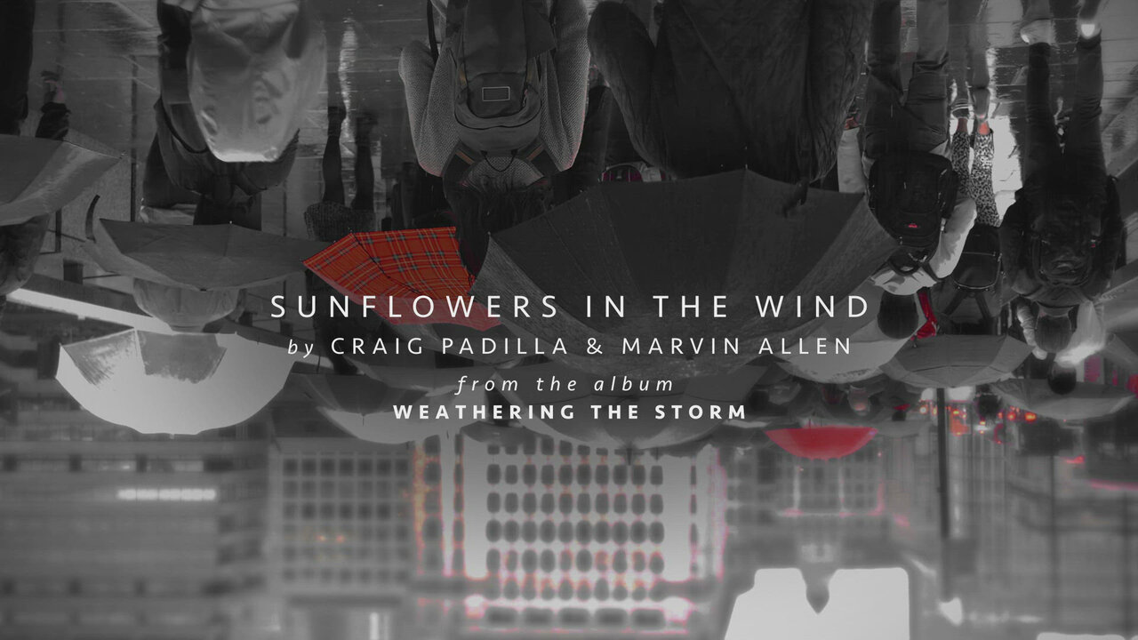 Sunflowers in the Wind