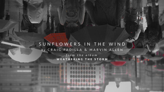 Sunflowers in the Wind