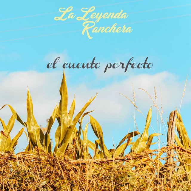 El Cuento Perfecto
