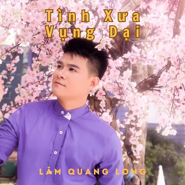 Tình xưa vụng dại